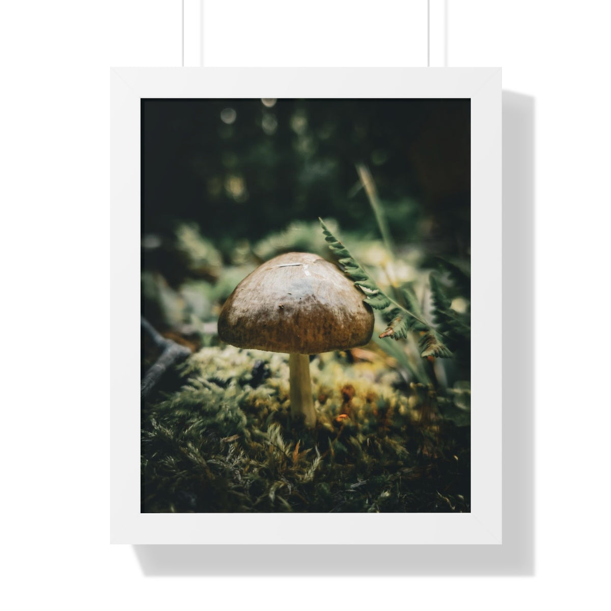 Mossy Mushroom House Framed Matte Print