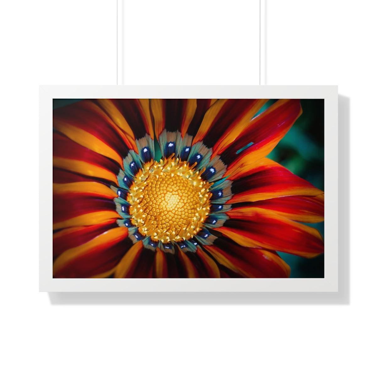 Vibrant Macro Flower Framed Matte Print