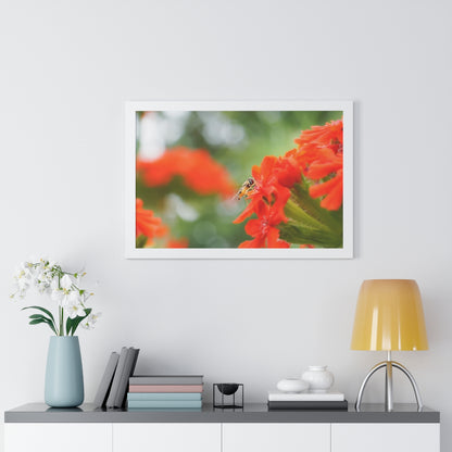 Flower Fly on Red Flowers Framed Matte Print