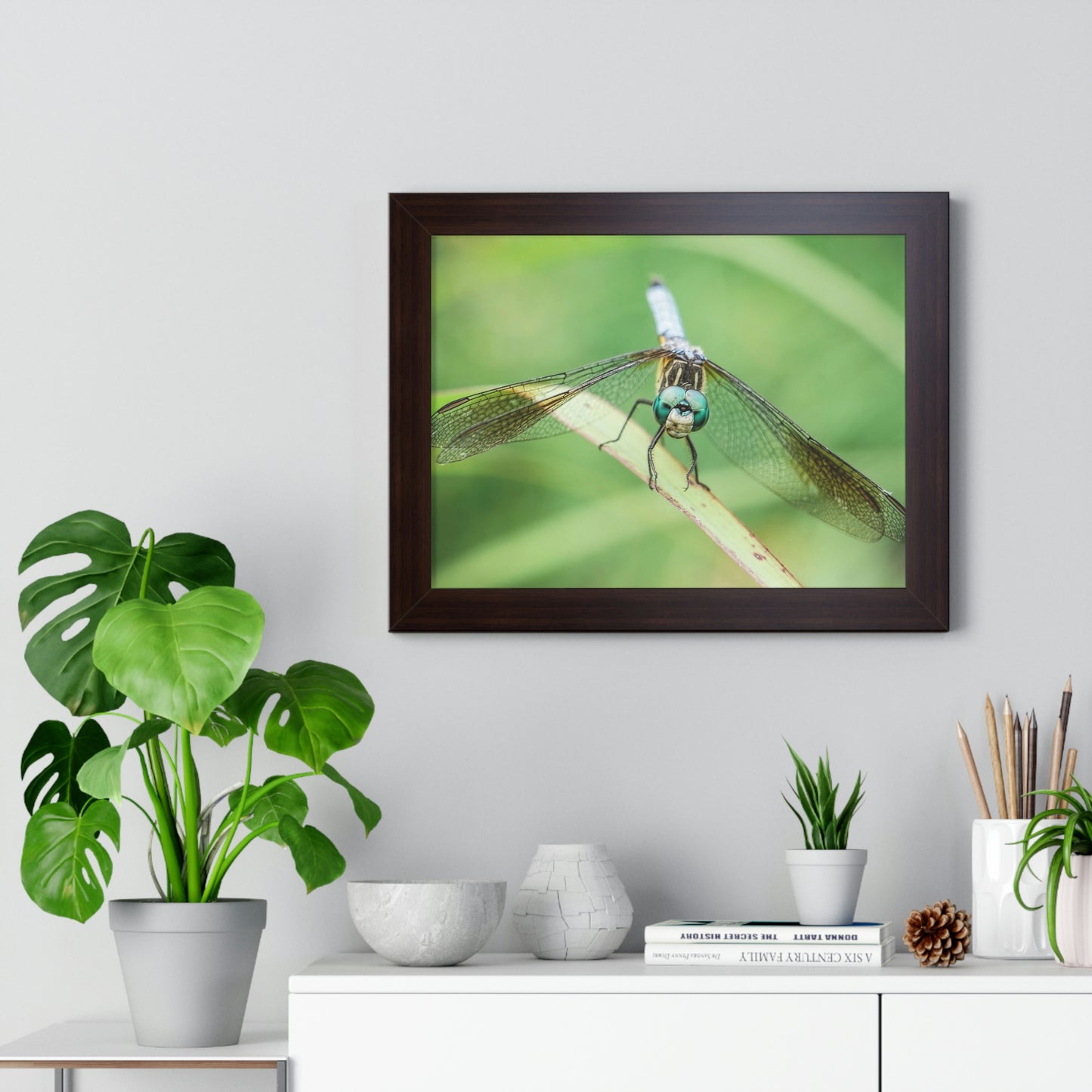 Macro Dragonfly Eyes Framed Matte Print