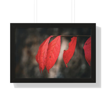 Leaves of Red Framed Matte Print