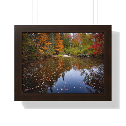 Maine Fall Foliage Waterscape Framed Matte Print