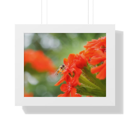 Flower Fly on Red Flowers Framed Matte Print