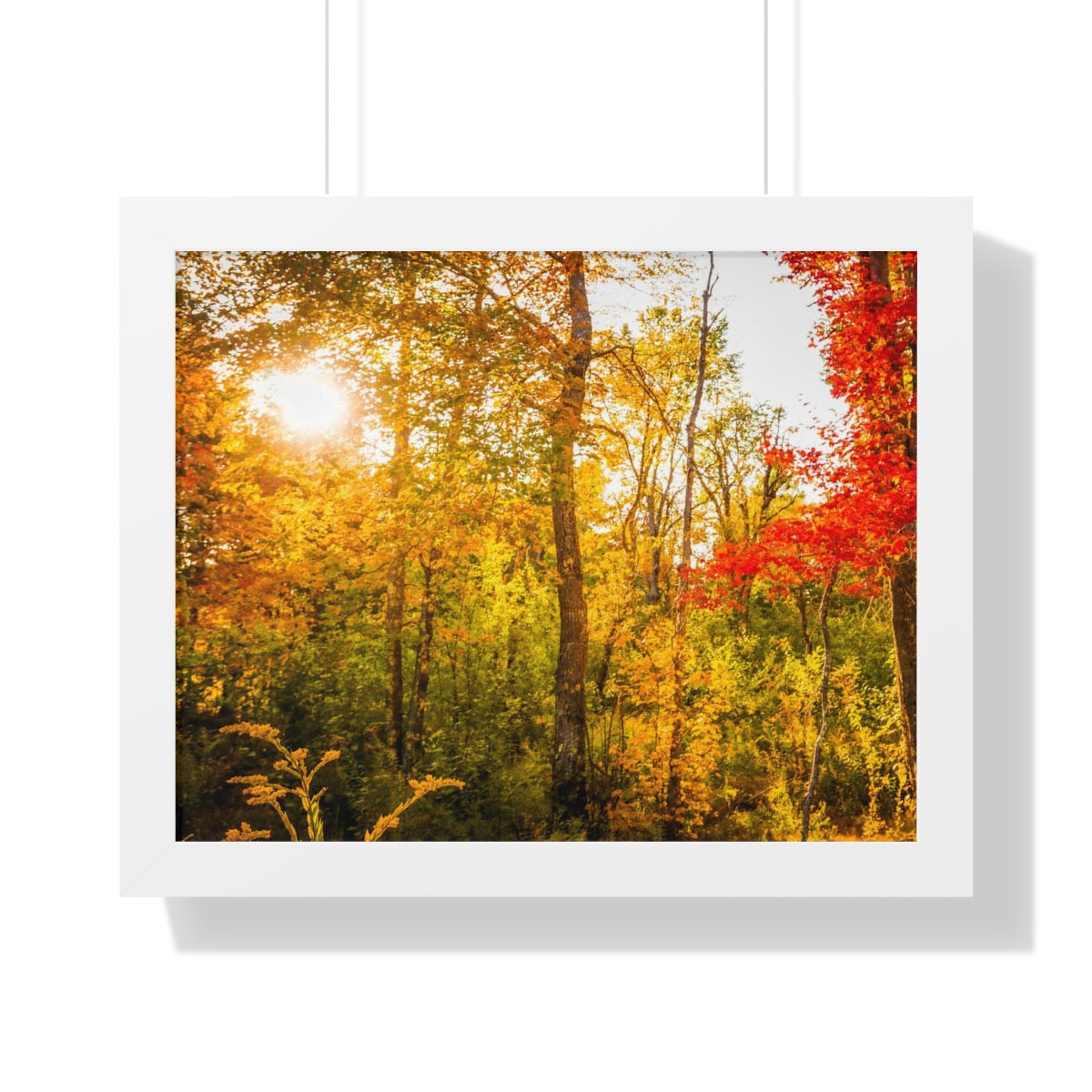 Happy Autumn Sun Framed Matte Print