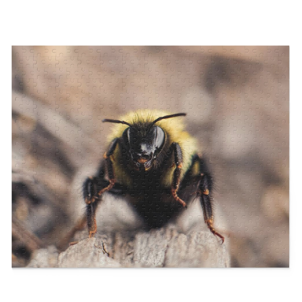 Bumble Bee Gets Close Puzzle (120, 252, 500-Piece)