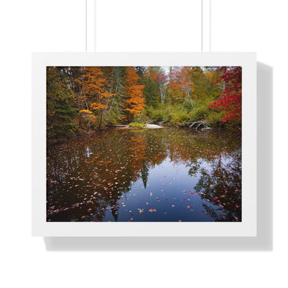 Maine Fall Foliage Waterscape Framed Matte Print