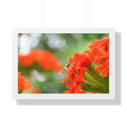 Flower Fly on Red Flowers Framed Matte Print