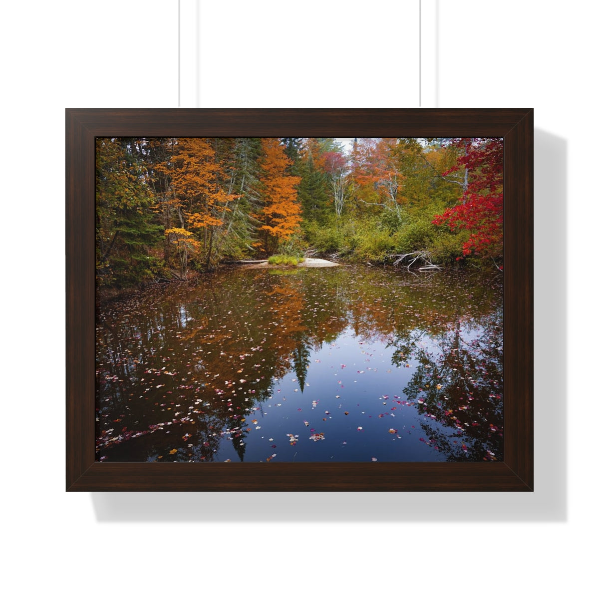 Maine Fall Foliage Waterscape Framed Matte Print