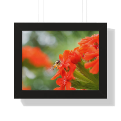 Flower Fly on Red Flowers Framed Matte Print