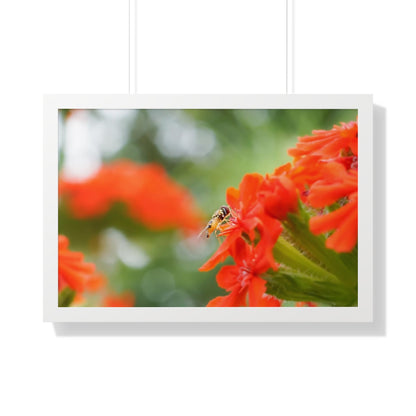 Flower Fly on Red Flowers Framed Matte Print