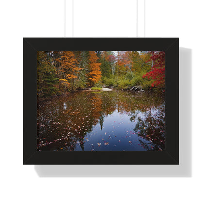 Maine Fall Foliage Waterscape Framed Matte Print