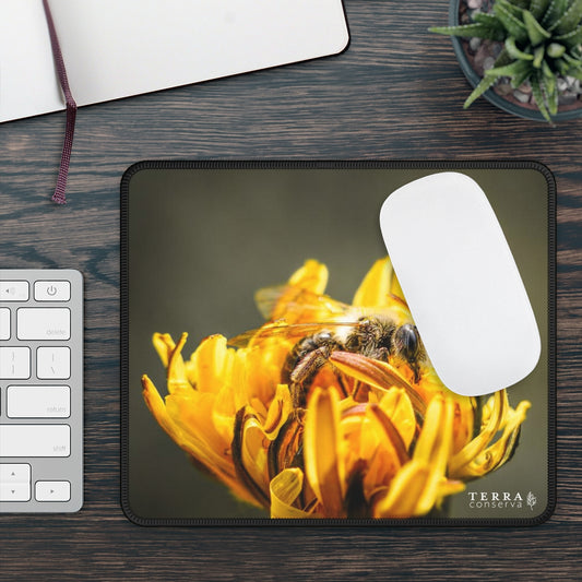 Bee Pollinating Dandelion Large Mouse Pad