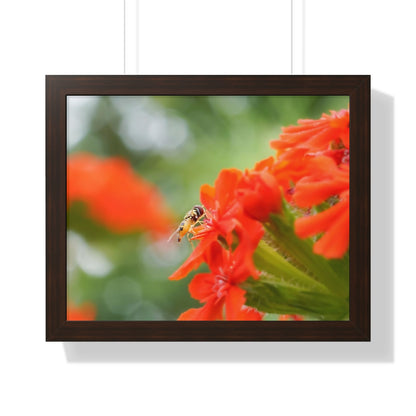 Flower Fly on Red Flowers Framed Matte Print