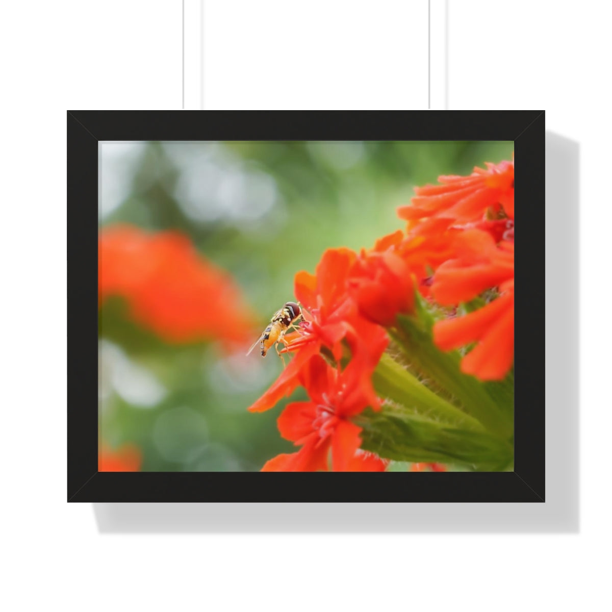 Flower Fly on Red Flowers Framed Matte Print