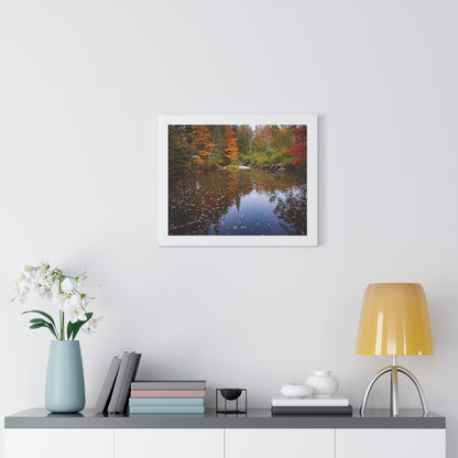 Maine Fall Foliage Waterscape Framed Matte Print