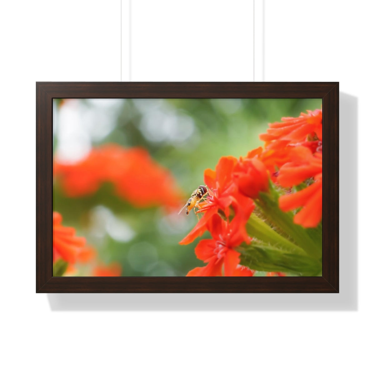 Flower Fly on Red Flowers Framed Matte Print