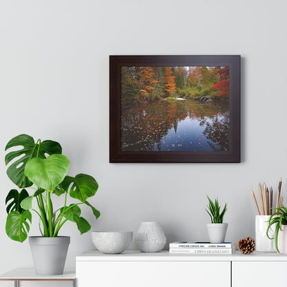 Maine Fall Foliage Waterscape Framed Matte Print