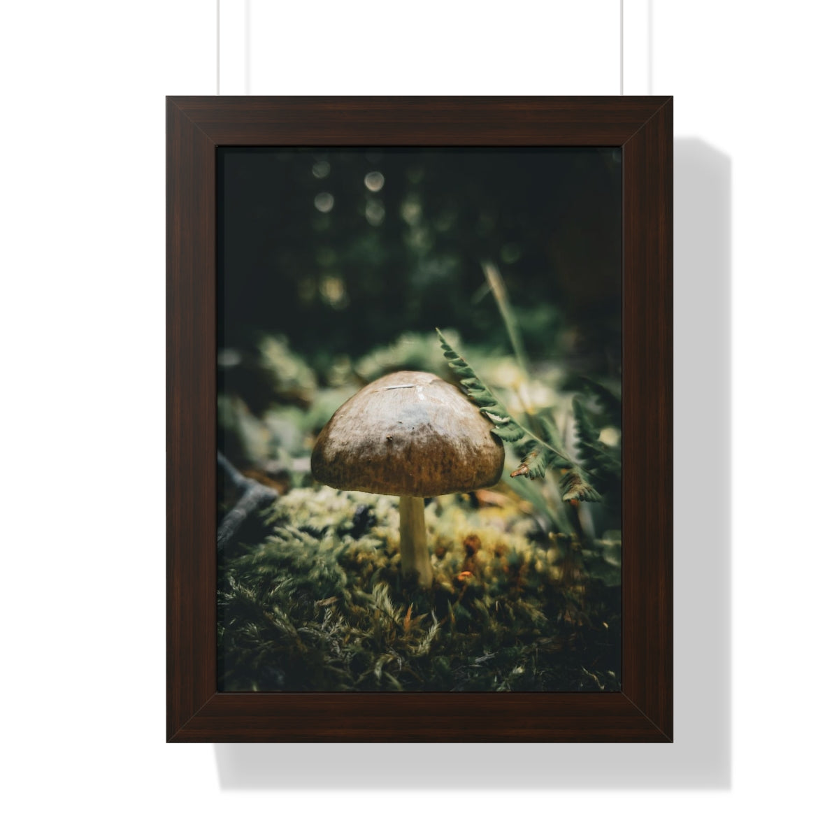 Mossy Mushroom House Framed Matte Print