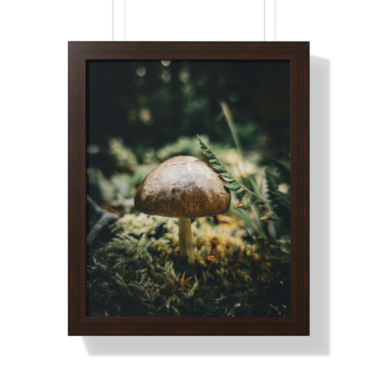 Mossy Mushroom House Framed Matte Print