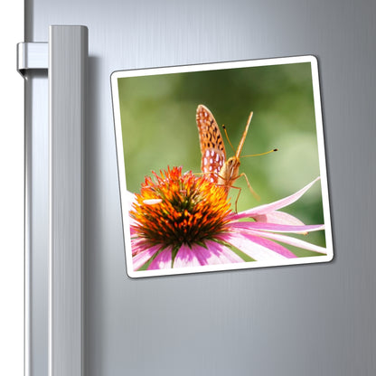 Butterfly Stare Down Magnet