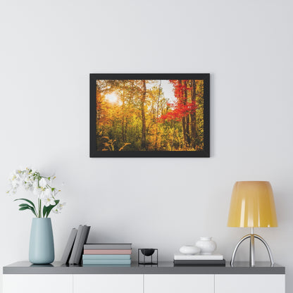 Happy Autumn Sun Framed Matte Print