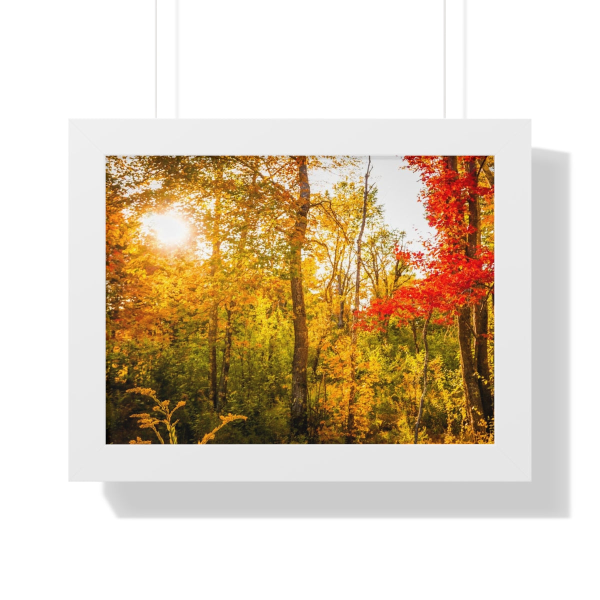 Happy Autumn Sun Framed Matte Print