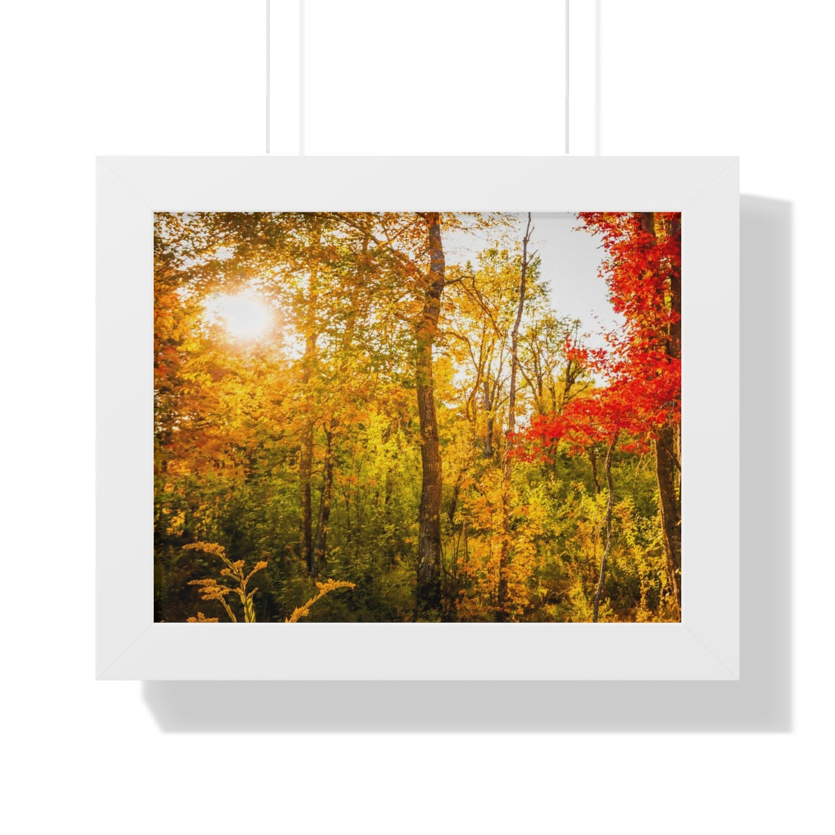 Happy Autumn Sun Framed Matte Print