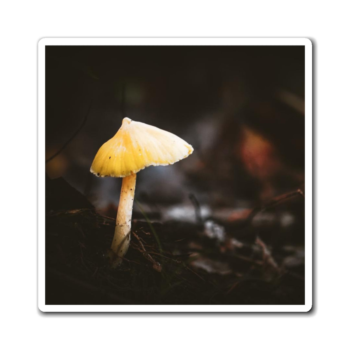 Mystical Magical Mushroomland Magnet