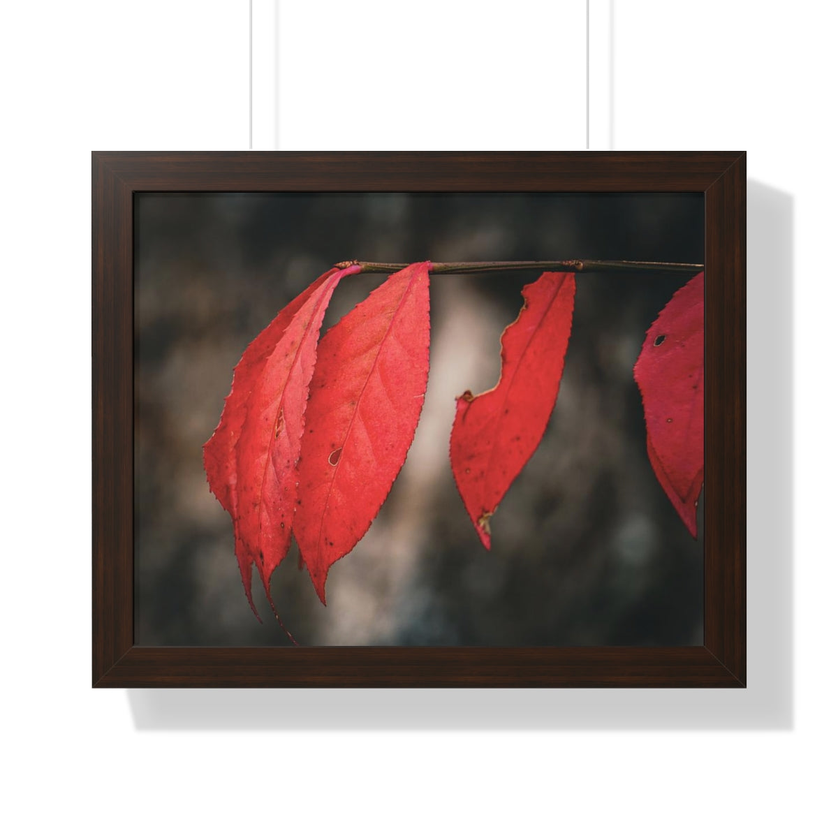 Leaves of Red Framed Matte Print