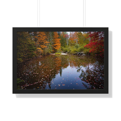 Maine Fall Foliage Waterscape Framed Matte Print