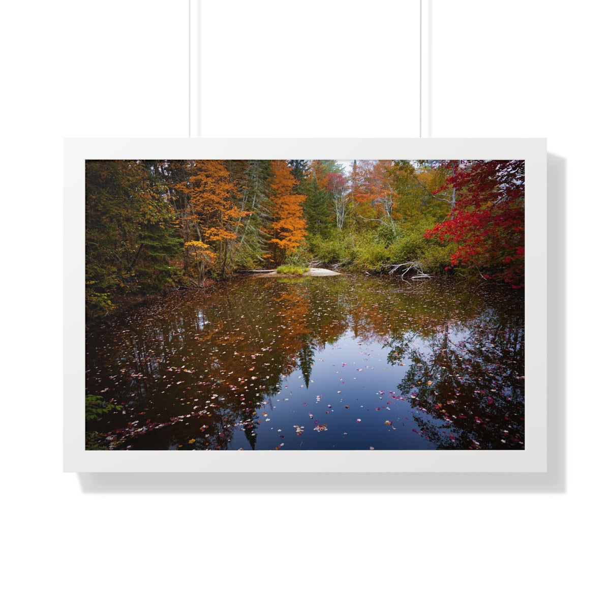 Maine Fall Foliage Waterscape Framed Matte Print