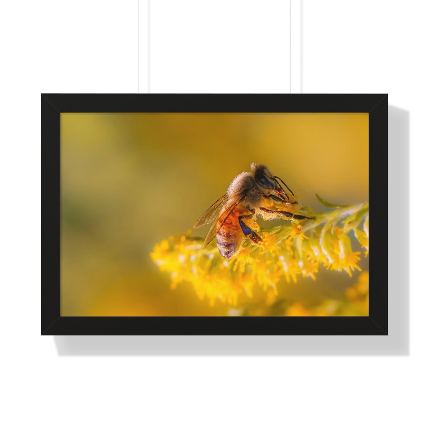 Golden Honey Bee Framed Matte Print