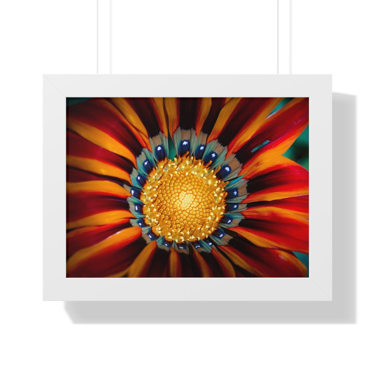 Vibrant Macro Flower Framed Matte Print